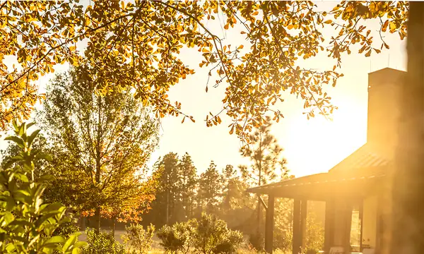 Recognition for craftsmanship and execution; Photo by Landino Photo; landscape architecture by Hollander Design.