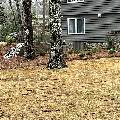 Finished drainage bed integrated into the landscape with mulch and planting nearby