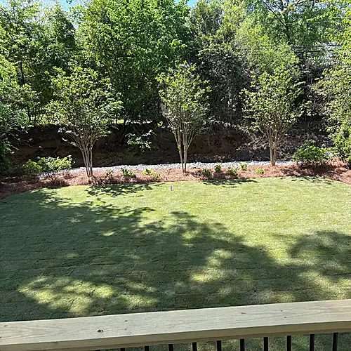 Completed backyard landscape installation with open lawn and layered perimeter planting