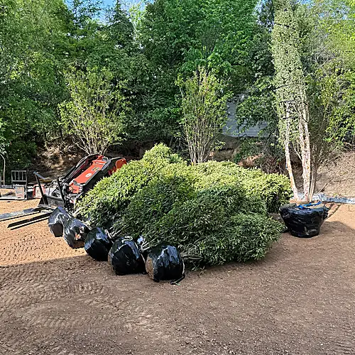 Plant material staged on site during the landscape installation